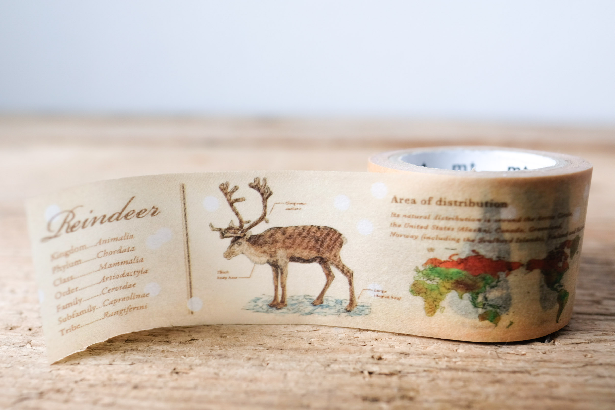 mt masking tape encyclopedia reindeer