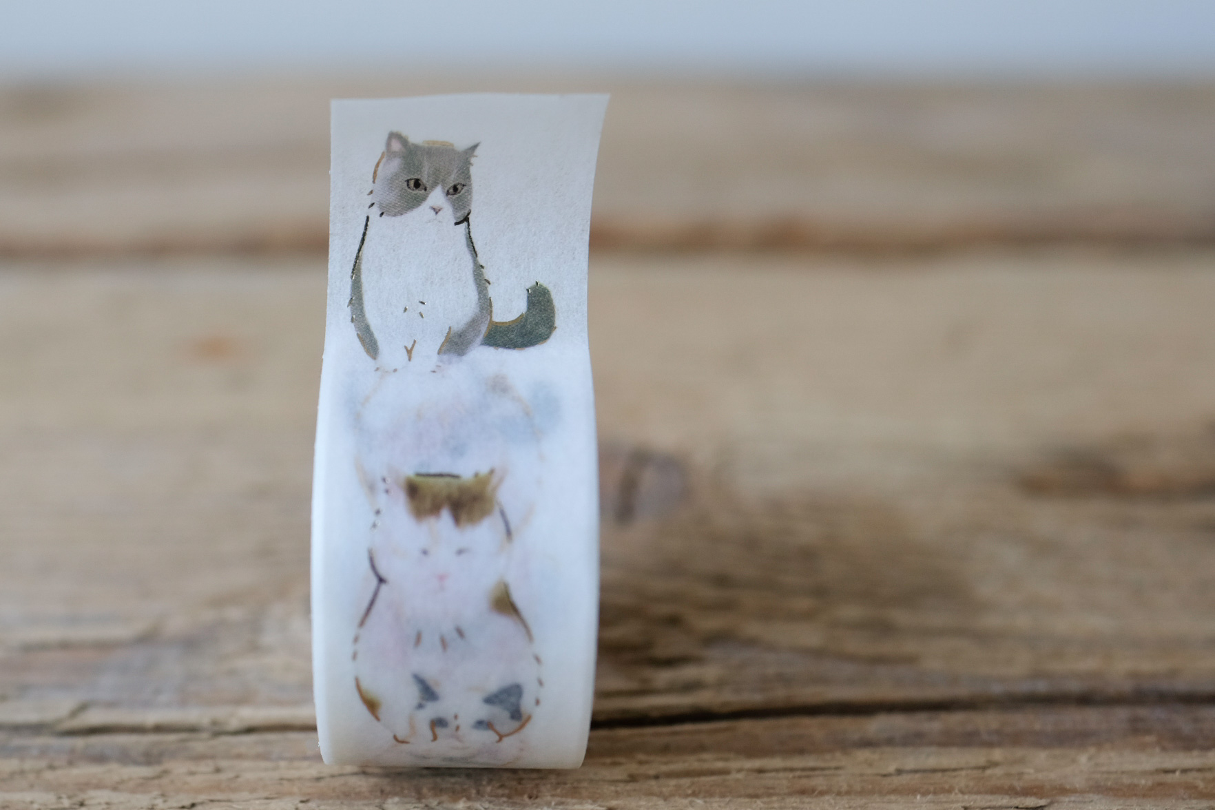 Masking Tape Glitter Seated Cats