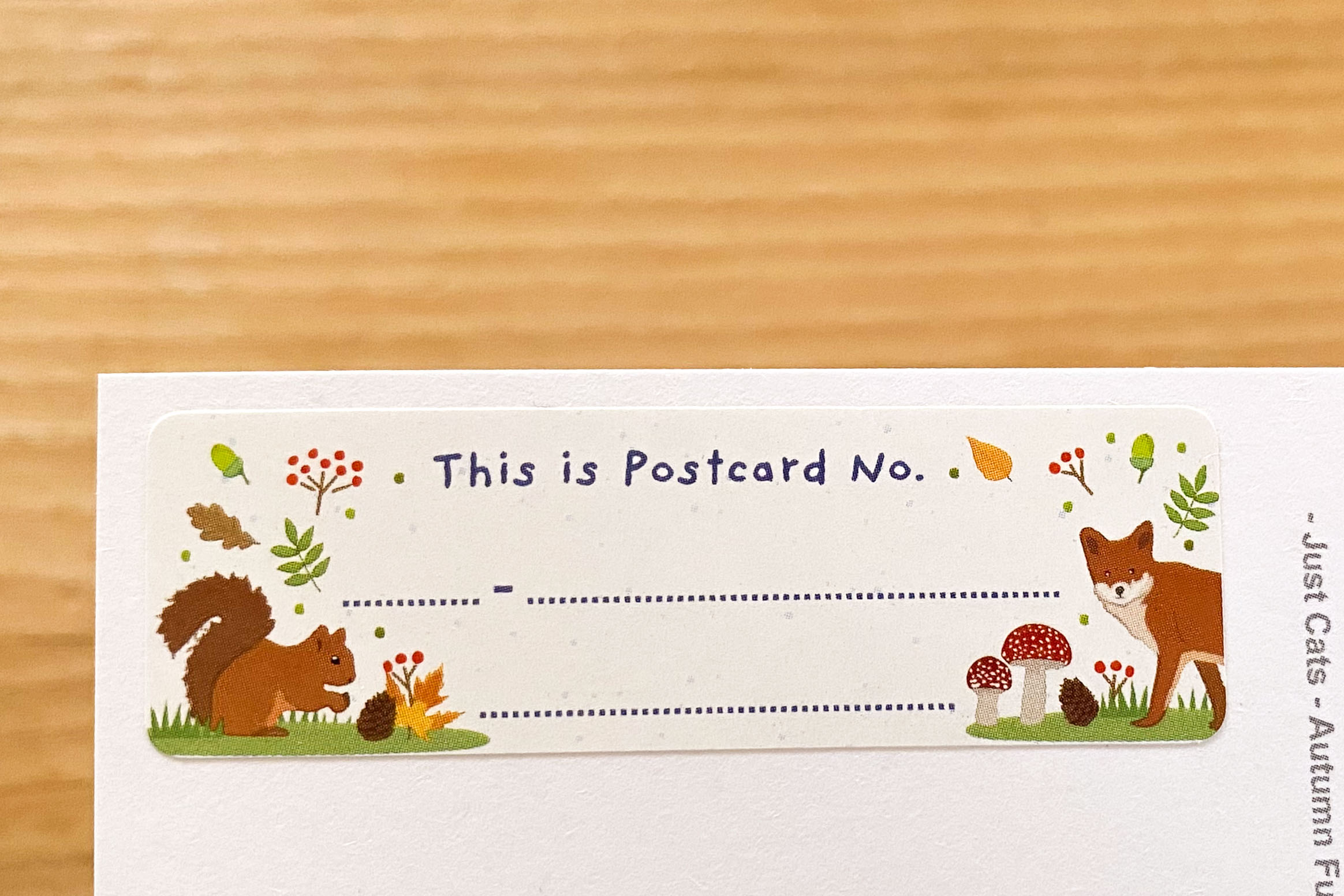Forest Animals Postcard ID Sticker Set 50 Stück