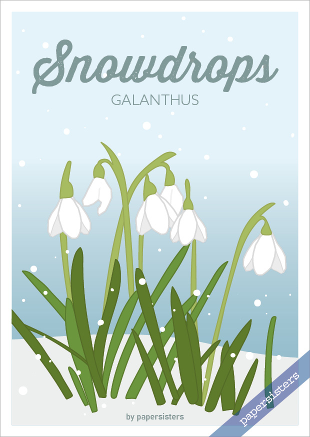 papersisters-Postcard-Schneegl-cken-Postkarte-Snowdrops