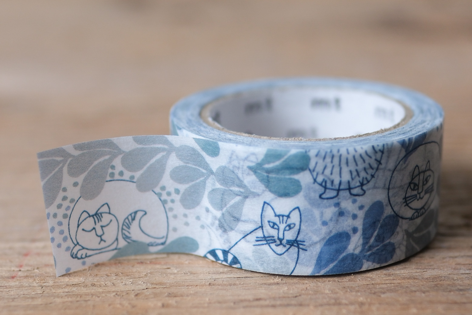 mt masking tape leaves series cat