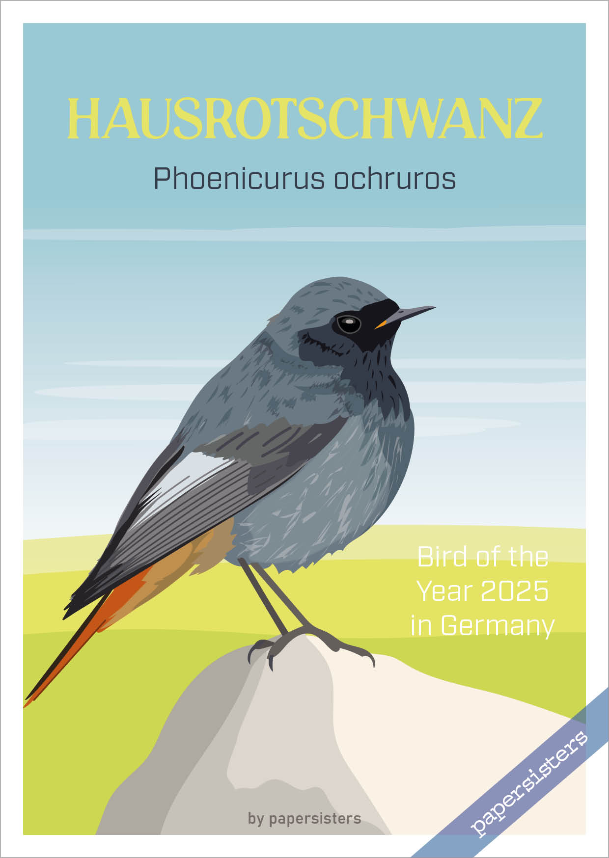 Hausrotschwanz - Bird of the Year 2025 Hausrotschwanz - Bird of the Year 2025