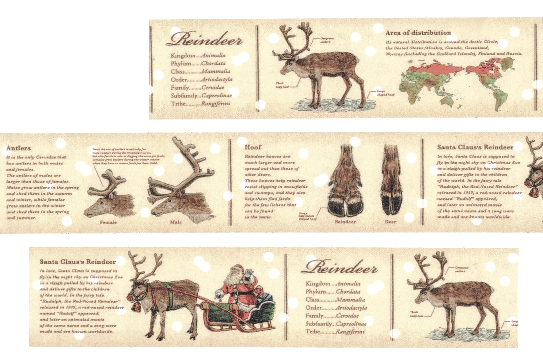 mt masking tape encyclopedia reindeer