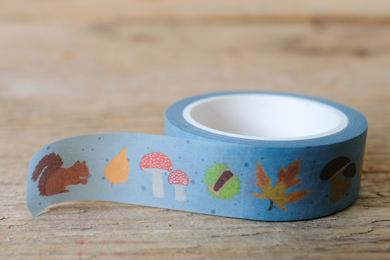 papersisters_washi_tape_autumn_walk-2