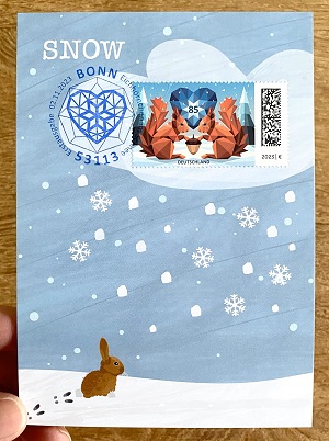Maximum Postcard Eichhörnchen im Schnee - Squirrels