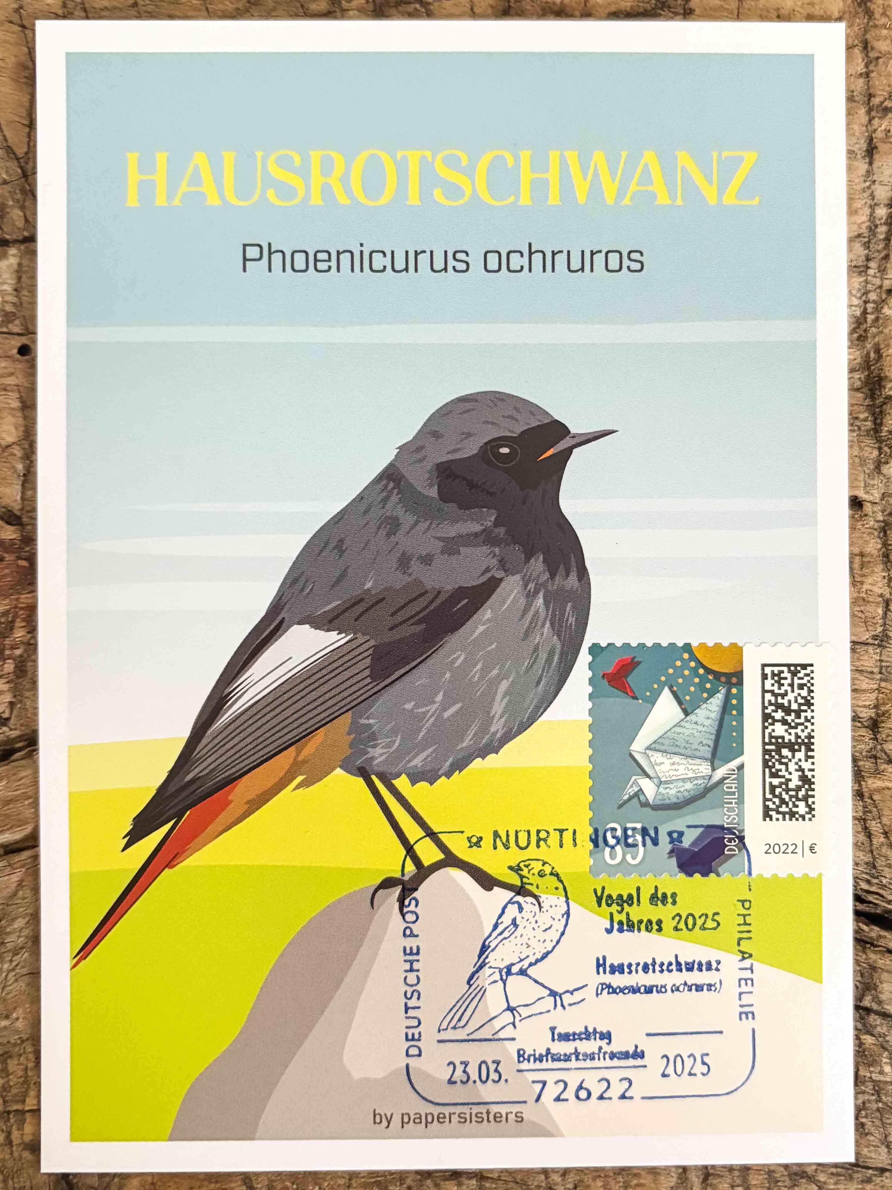 Maximum Postcard Hausrotschwanz