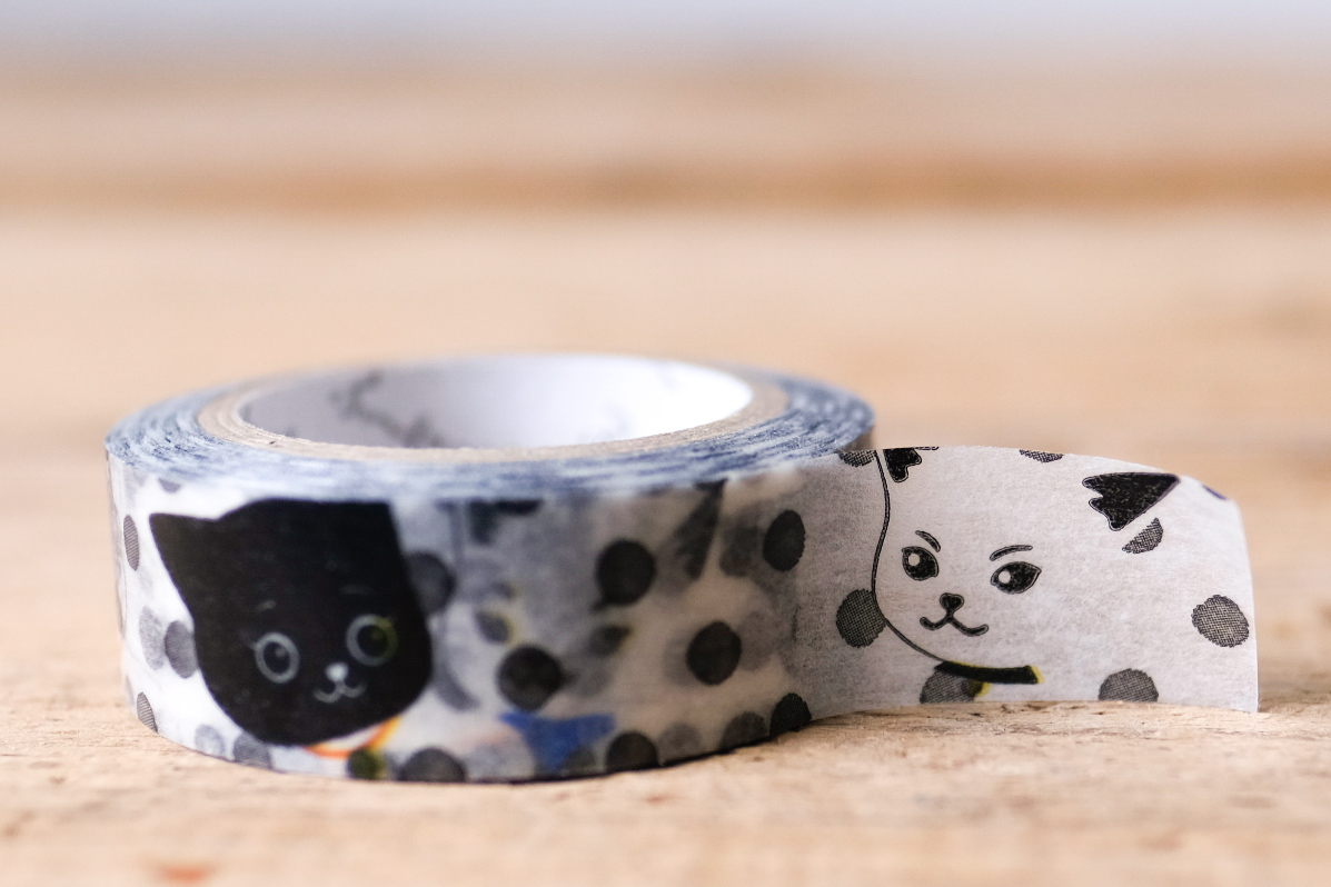 Masking Tape Pandora Cat