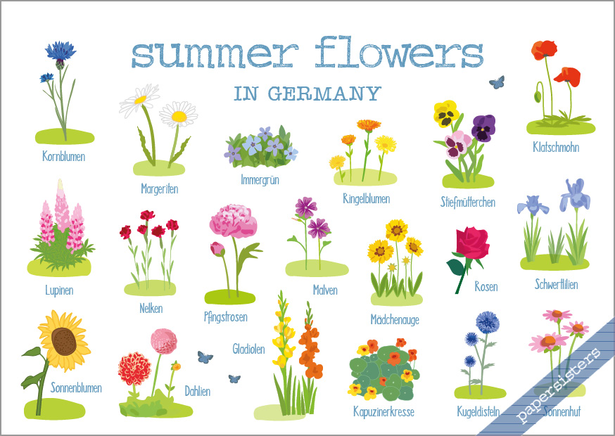 Summer Flowers in Germany