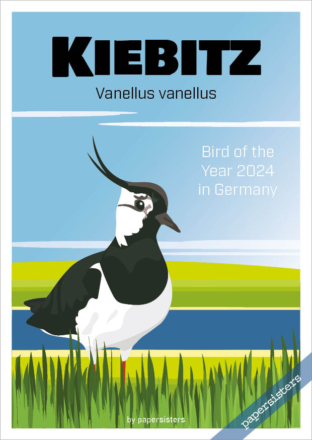 Kiebitz - Bird of the Year 2024
