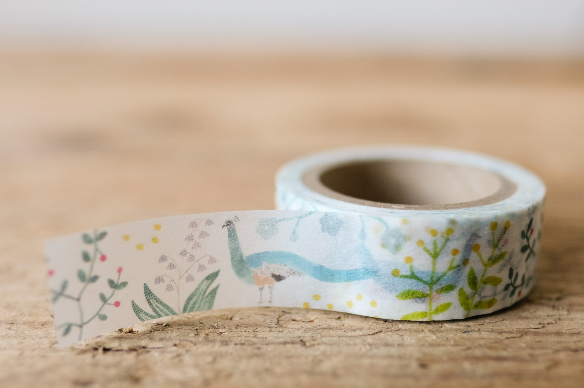 Masking Tape EL COMMUN Peacock