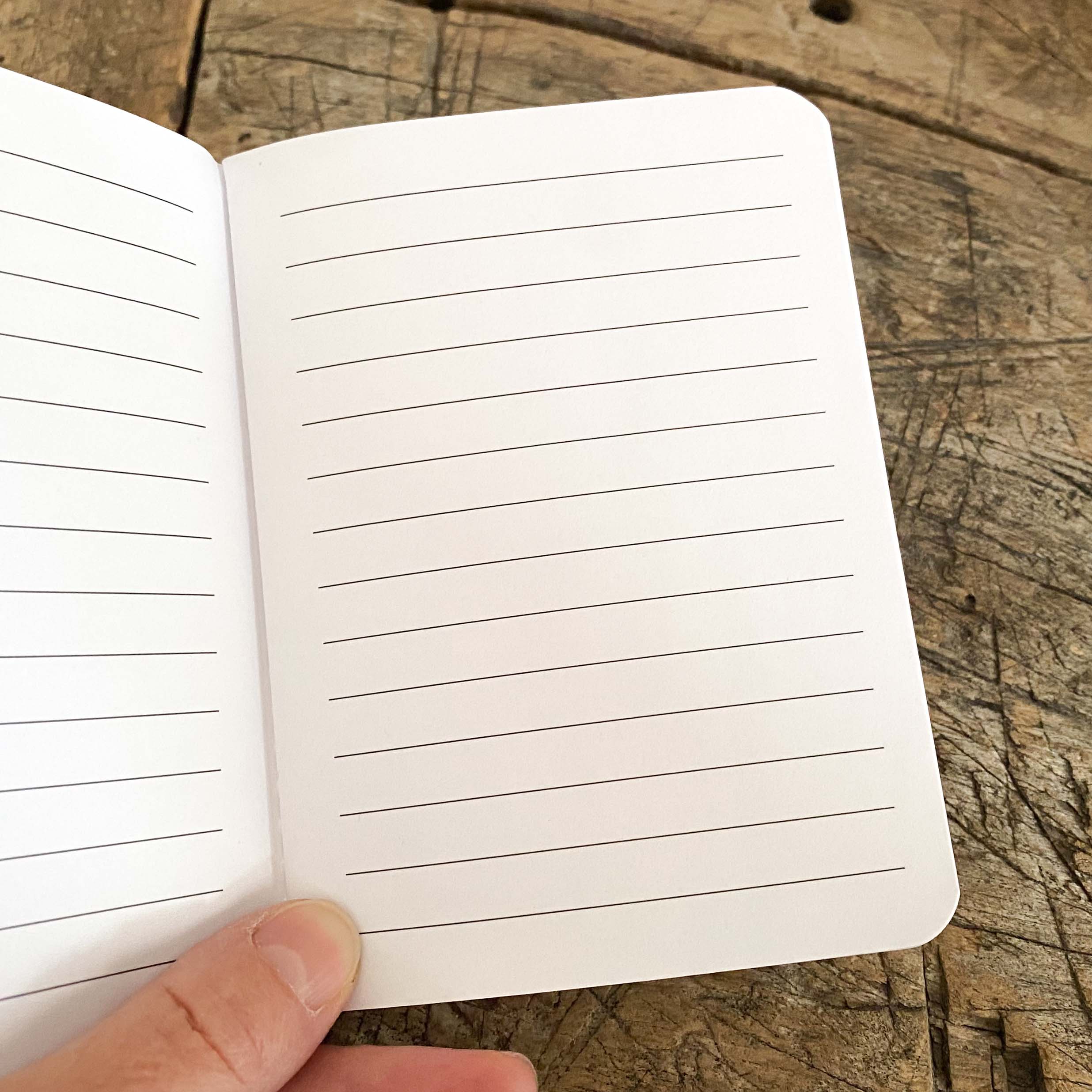 papersisters-Snail-Mail-Notes-Notizheft-inside