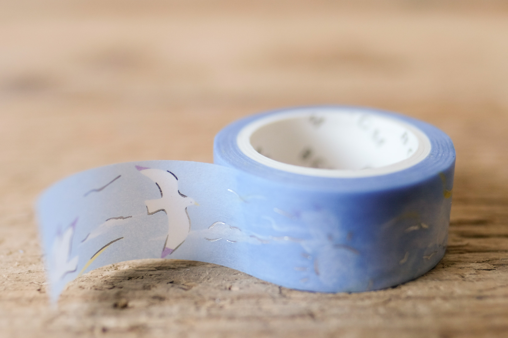 Masking Tape Glitter Flying Seagull