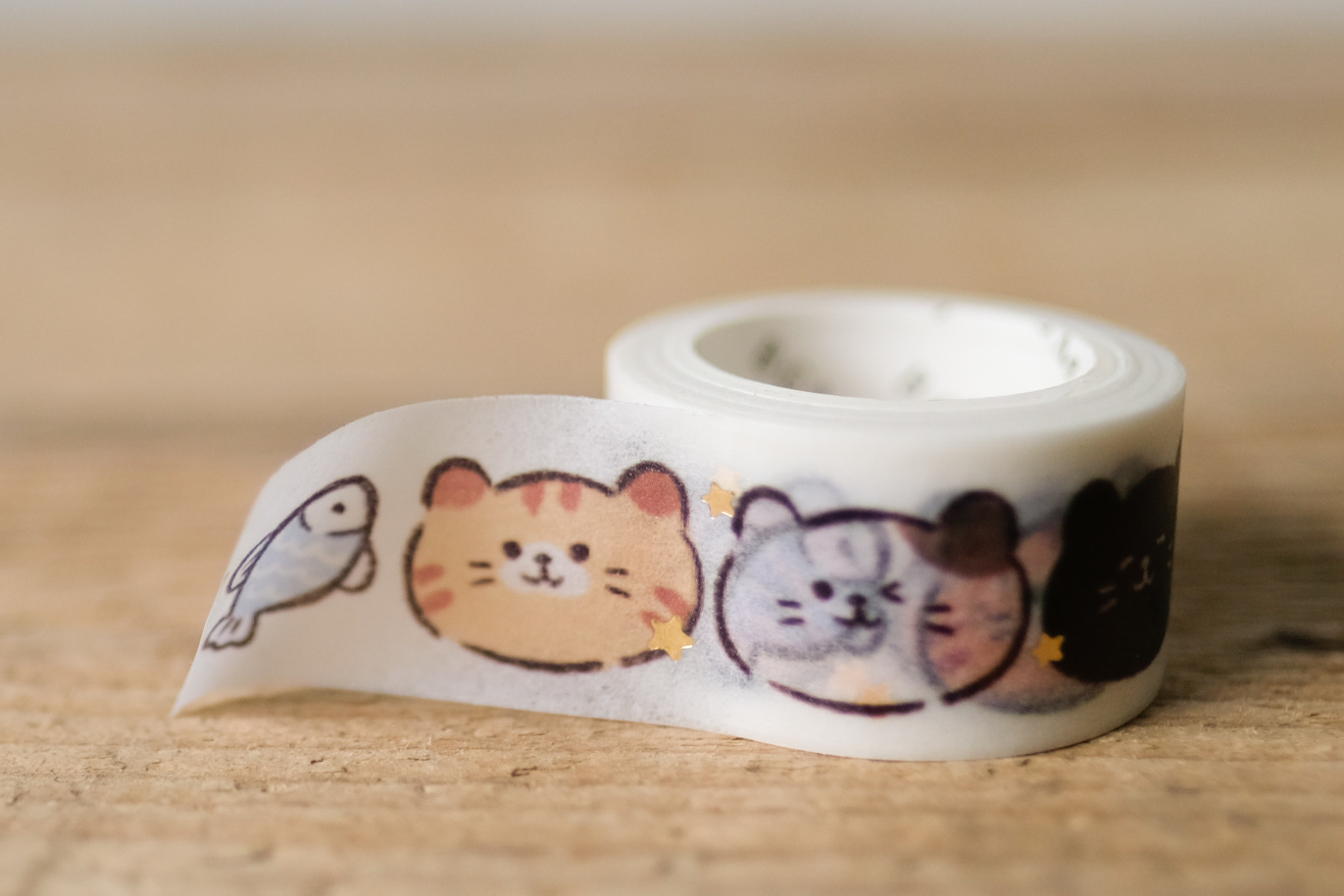 Masking Tape Glitter Cats