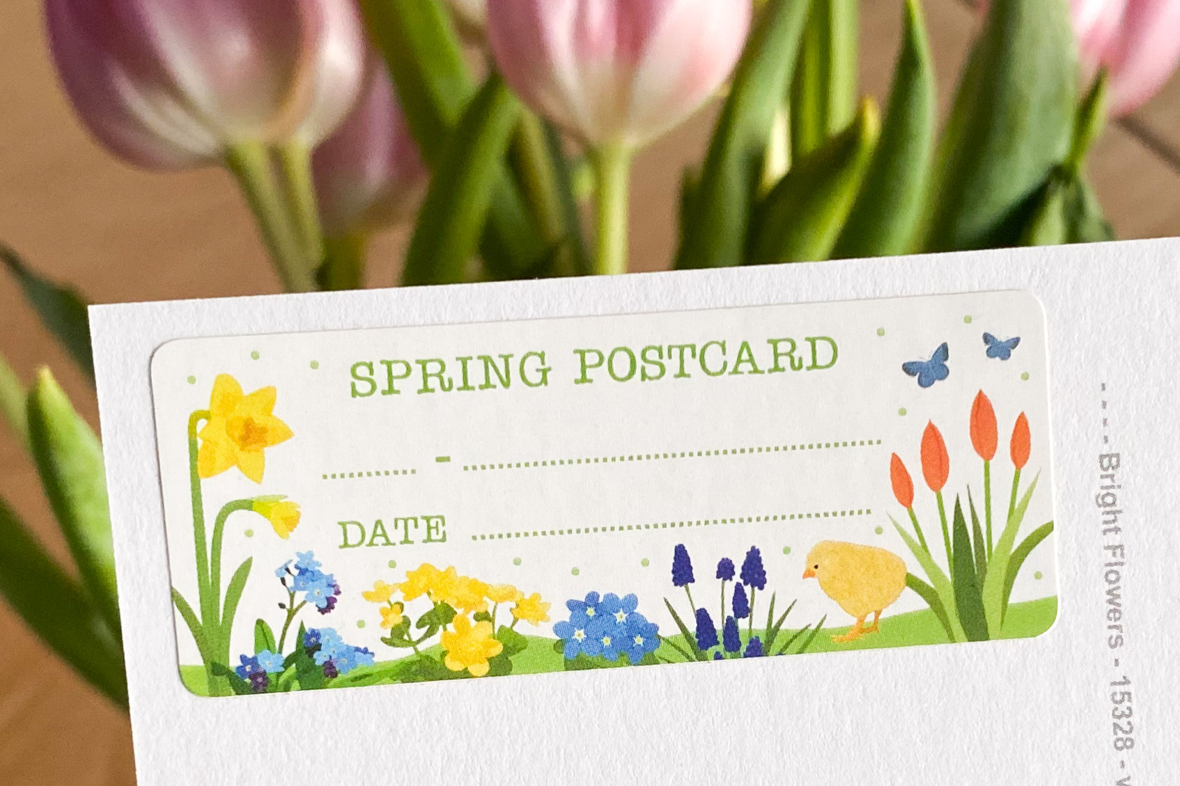 papersisters-Postcard-ID-Spring-Postcrossing-3