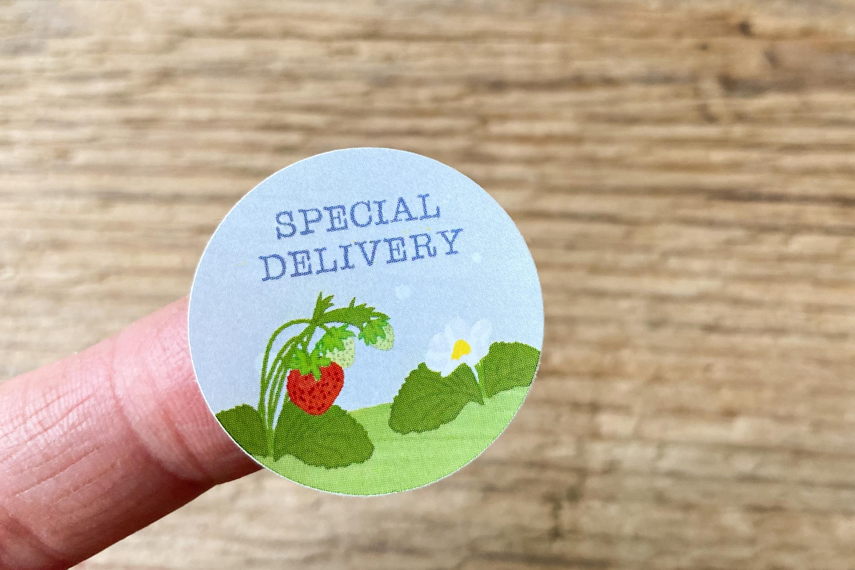 Strawberry Sticker Set round 