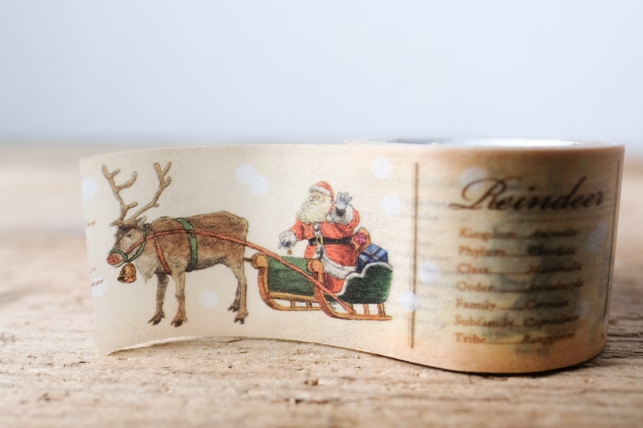 mt masking tape encyclopedia reindeer