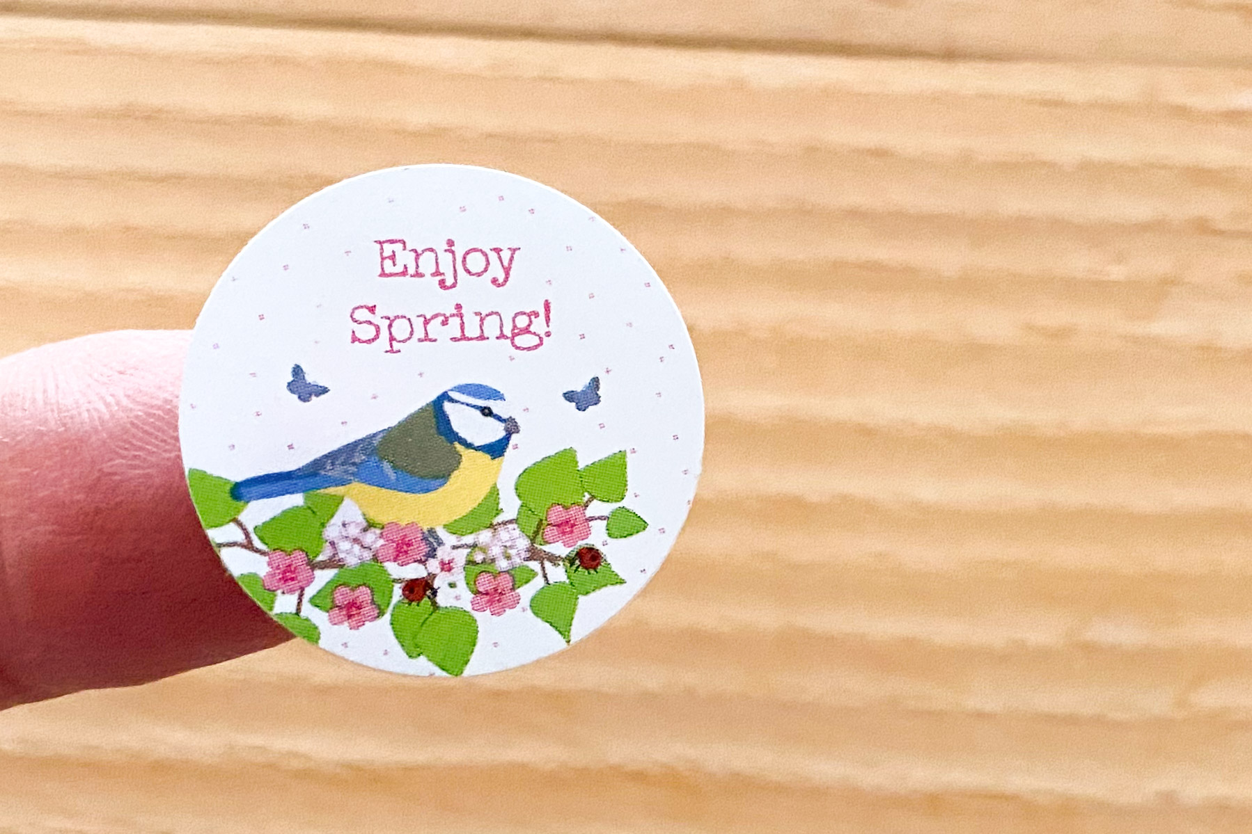 Spring Bird Sticker Set 50 pieces