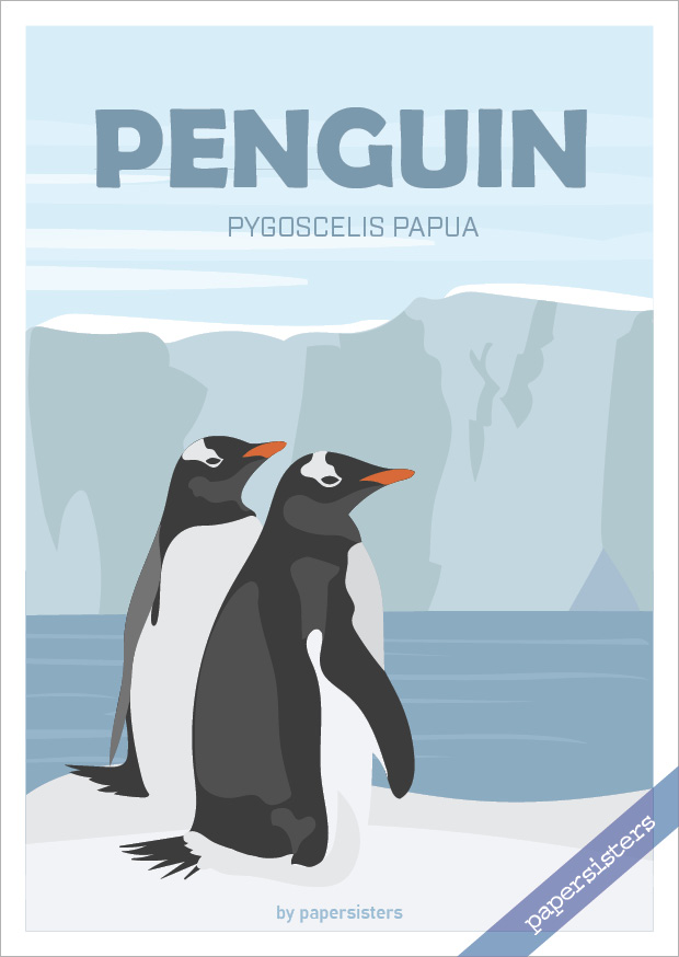 Animal World Penguin
