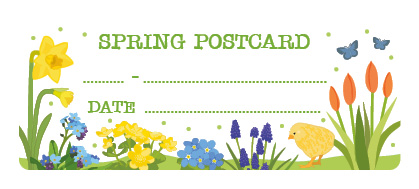 S* Sticker Postcard ID Spring Postcard 65x26 5er