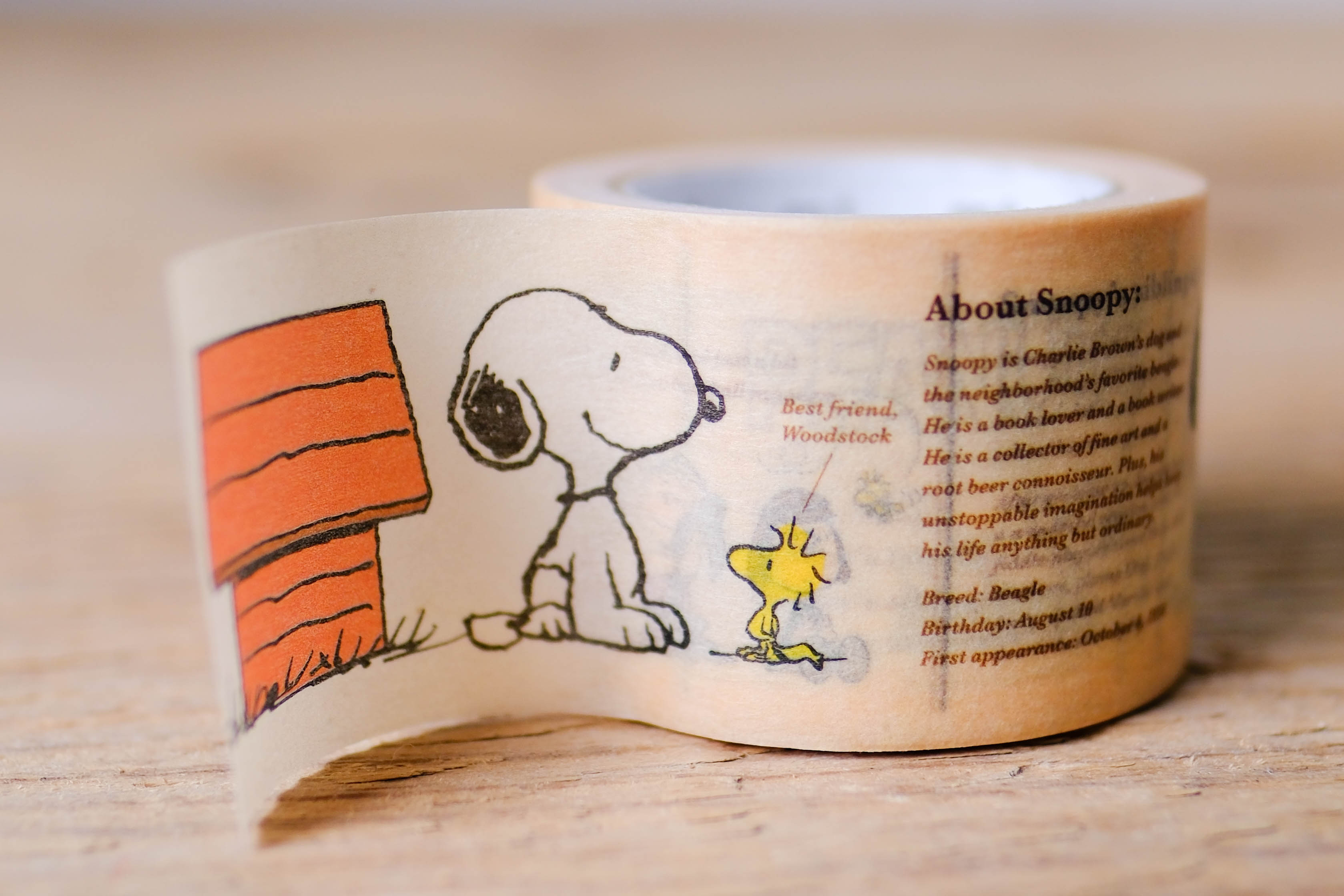 mt masking tape encyclopedia peanuts