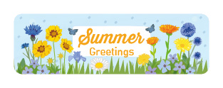 S* Sticker Summer Greetings 47x15 5er