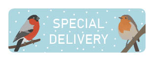 S* Sticker Priority Special Delivery Vögel 5er